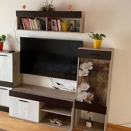 Phoenix Apartament